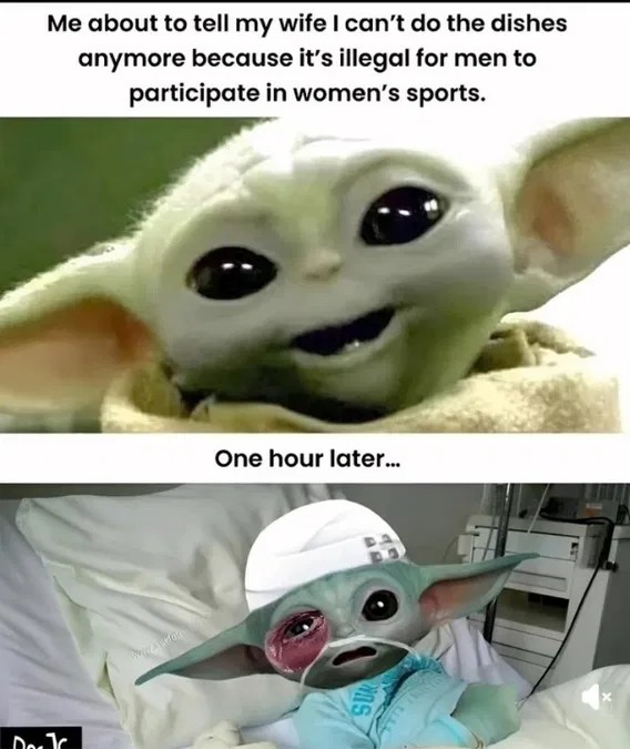 4f2a99236be7ba0080fb4203dd99aa10.jpeg