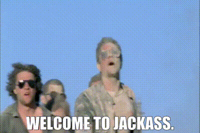 51e7b404-6b8a-44d9-b459-2f6f091e2ada_text.gif