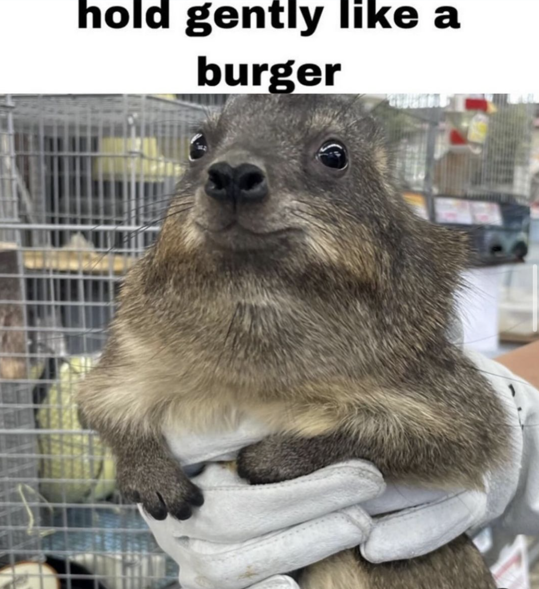 624.png