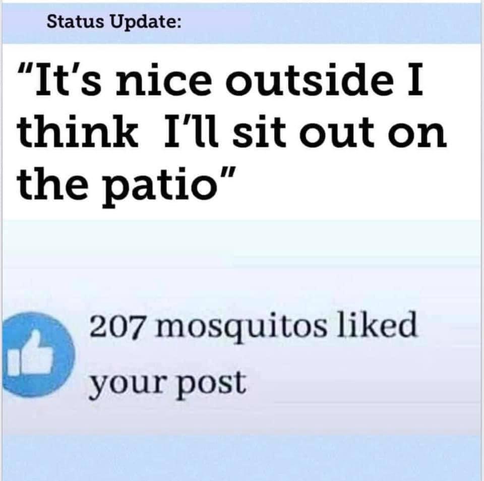 69C5E142-B053-4297-9C61-AA2C37DDE915.jpeg