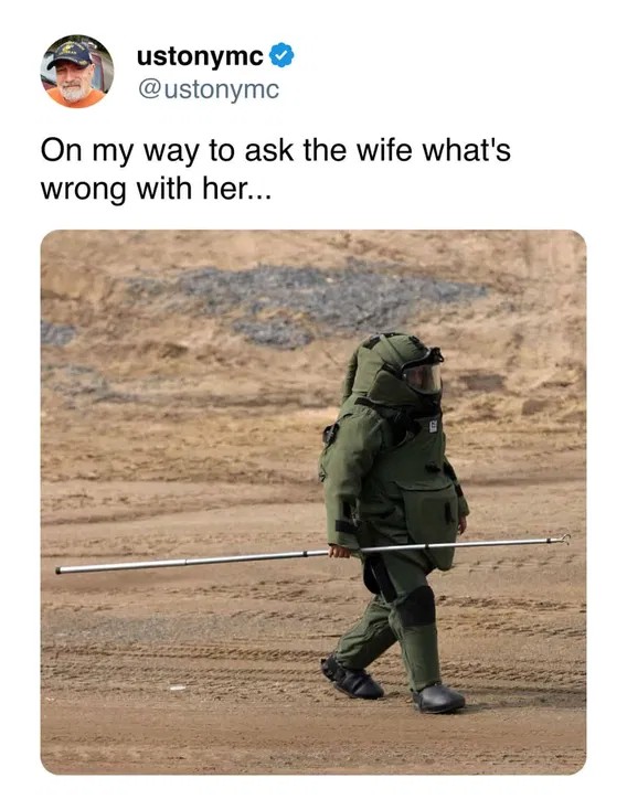 6bd8180a1f2f4f2b9aea47d8e818b6e9.jpeg