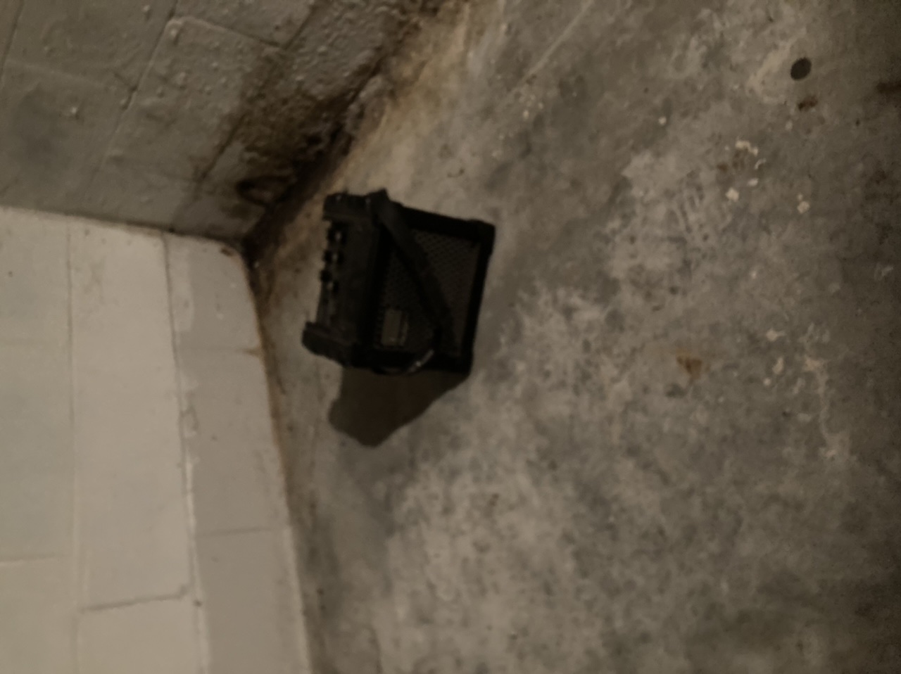 74B65754-0D68-4569-937E-F4BAC345E9D8.jpeg