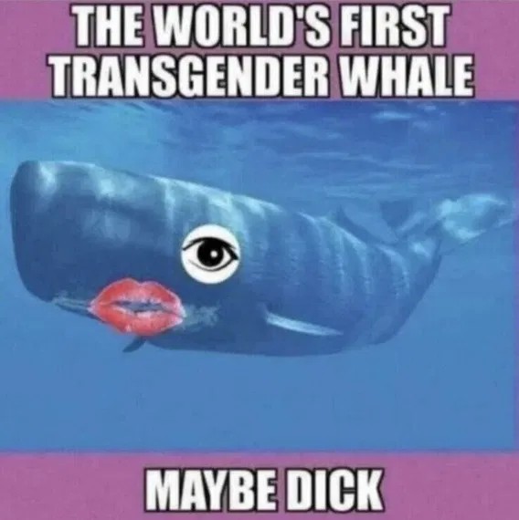 7c54b44f2252b2f56ac7c1a1e3a3219b.jpeg