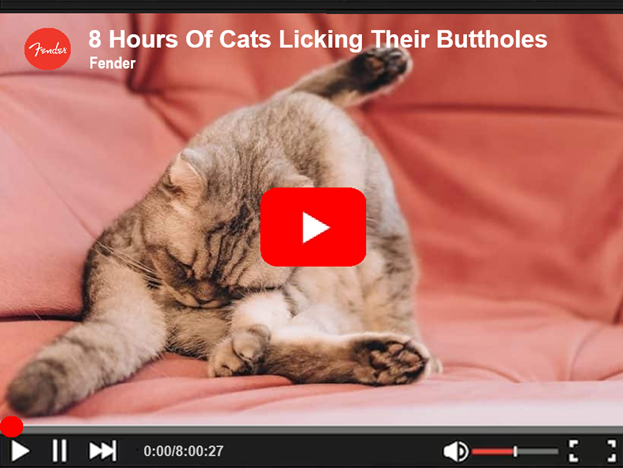 8 Hours Of Cats Licking Their Buttholes.png