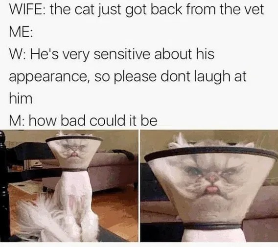 9fde12a4529ff099f5b8e8df11d3d476.jpeg