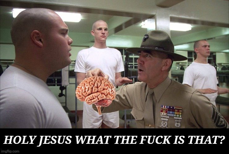 9xsu2z.jpg
