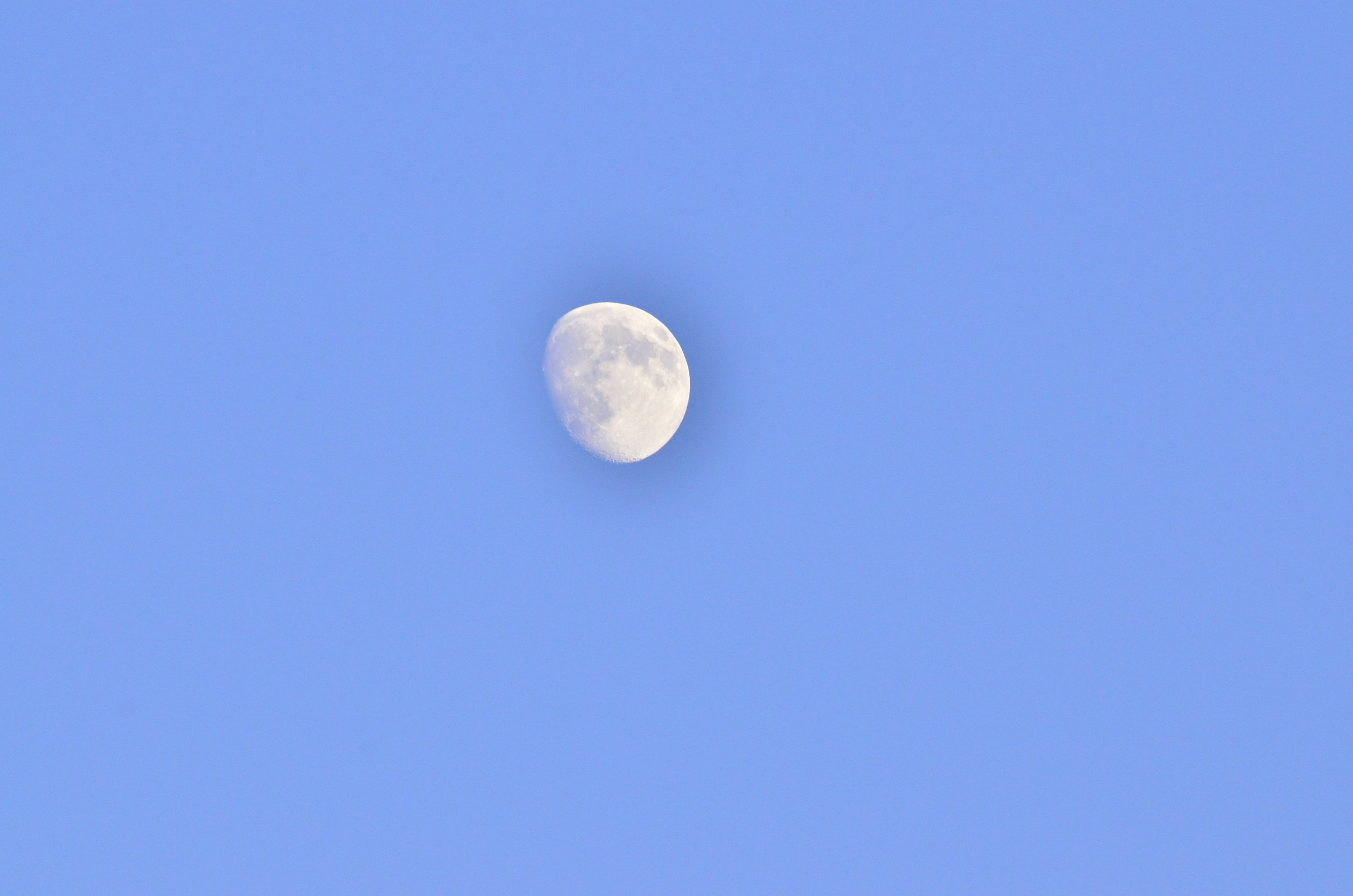 _DSC4336.JPG