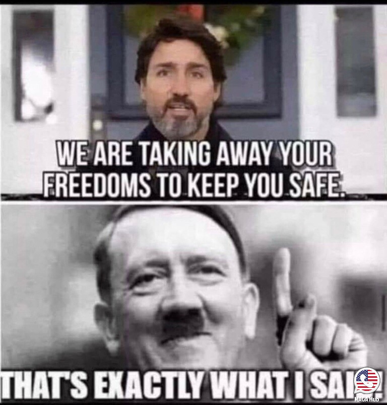 a289cd3862480748ea1911a829a12061.png