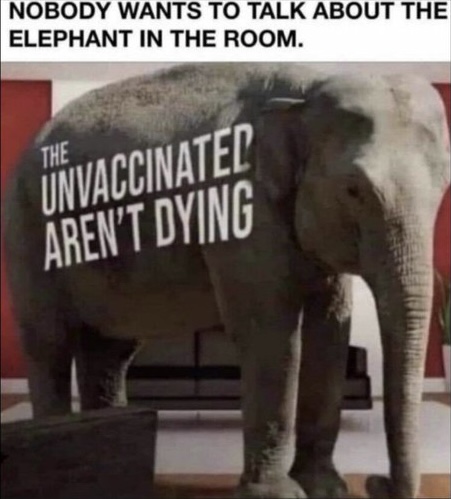 A48E63C6-C9B8-47C3-A41B-7D858D75C5BB.jpeg