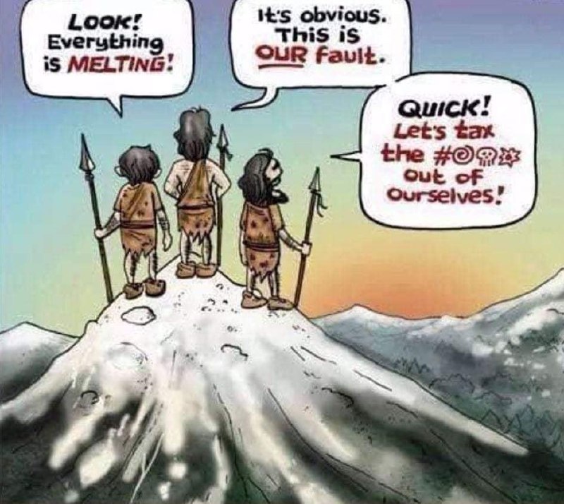 a590a58dc5081c318cda7 (1).jpg