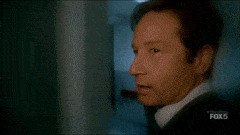 AdorableHonestKodiakbear-max-1mb.gif