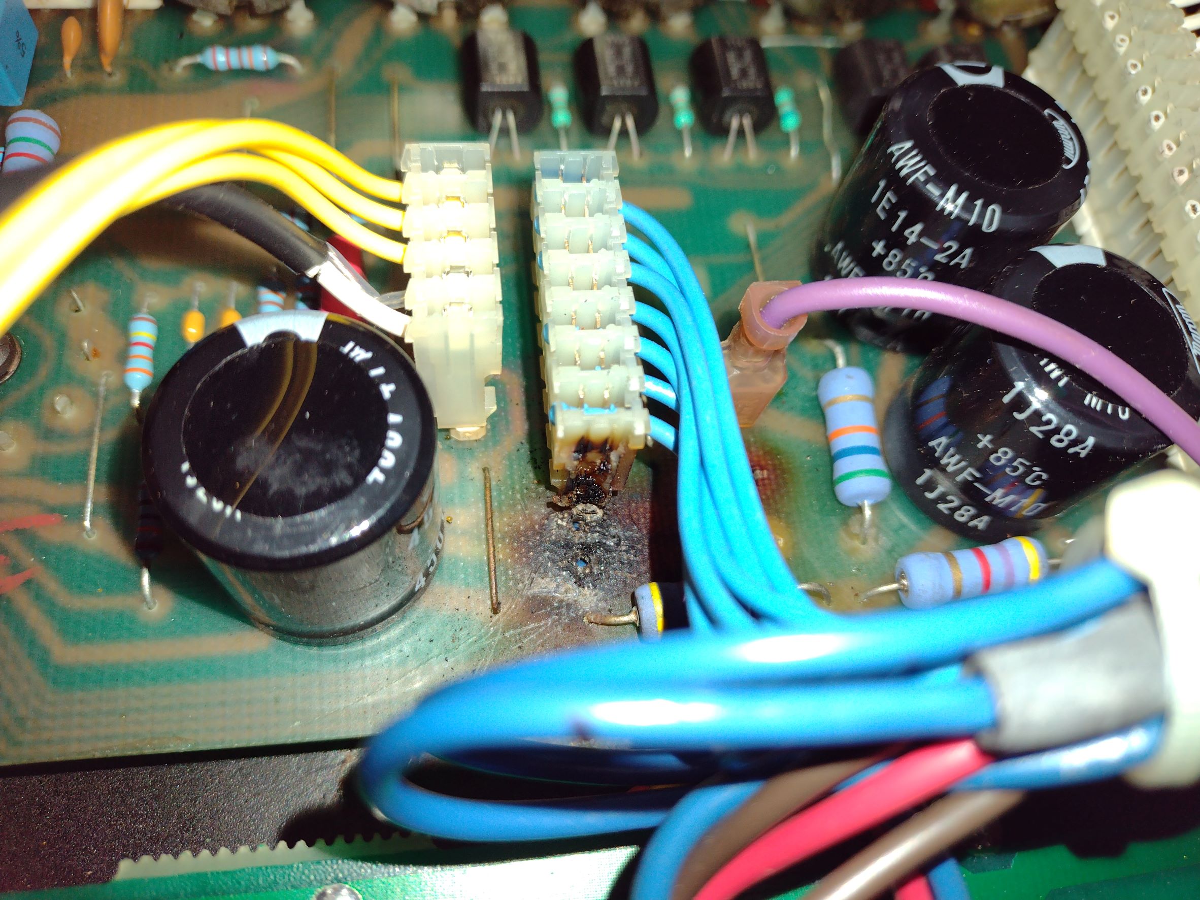 Ampeg VL1002 toasted Molex Connector.jpg