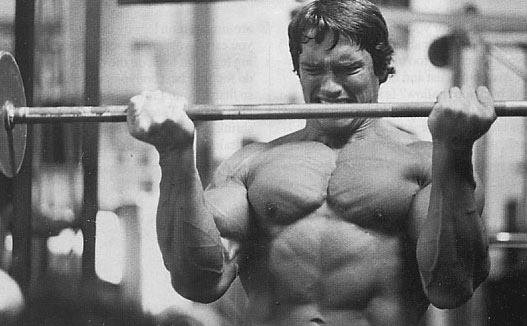 arnold-3.jpg