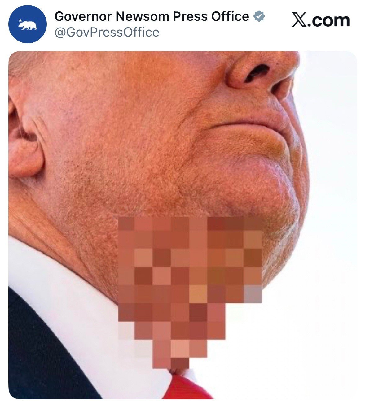 bafkreibvcjulw5jtlr3ksycrqdmdiw2lywuuc57yjansghnxo2g5ryotye~2.jpg