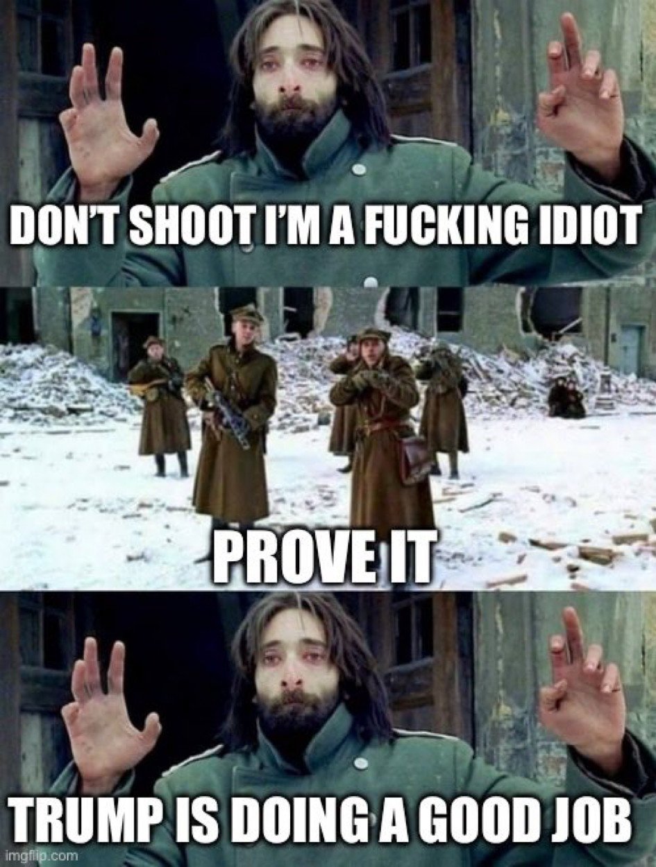 bafkreiclkwnt4my34upohe2o5iii5xpryzpxszsyhqnxr45m7ldrbziiei.jpg