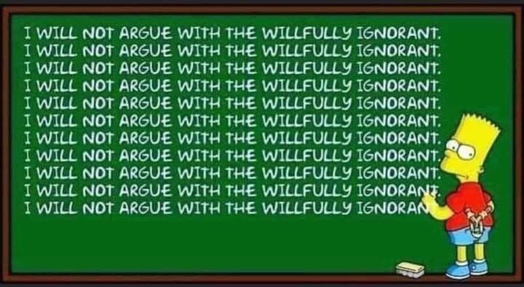 bart simpson meme i will not argue with the willfully ignorant.jpg