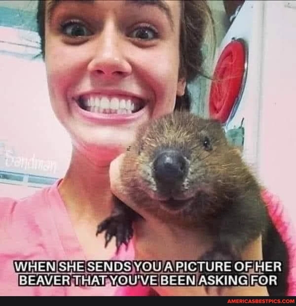 Beaver.jpg