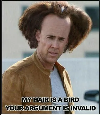 bird.webp