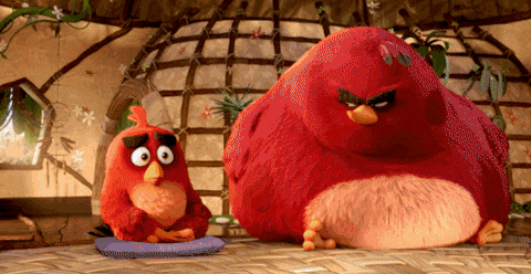 birds.gif
