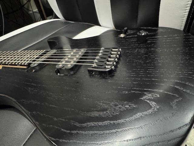 Caparison Horus - 2.jpeg