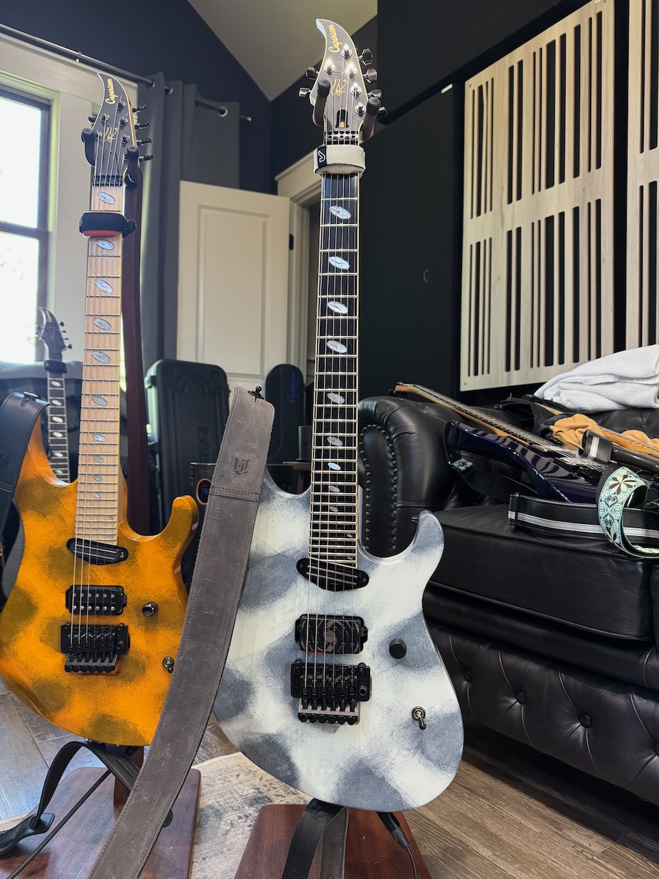 Caparison MoonStone - 1.jpeg