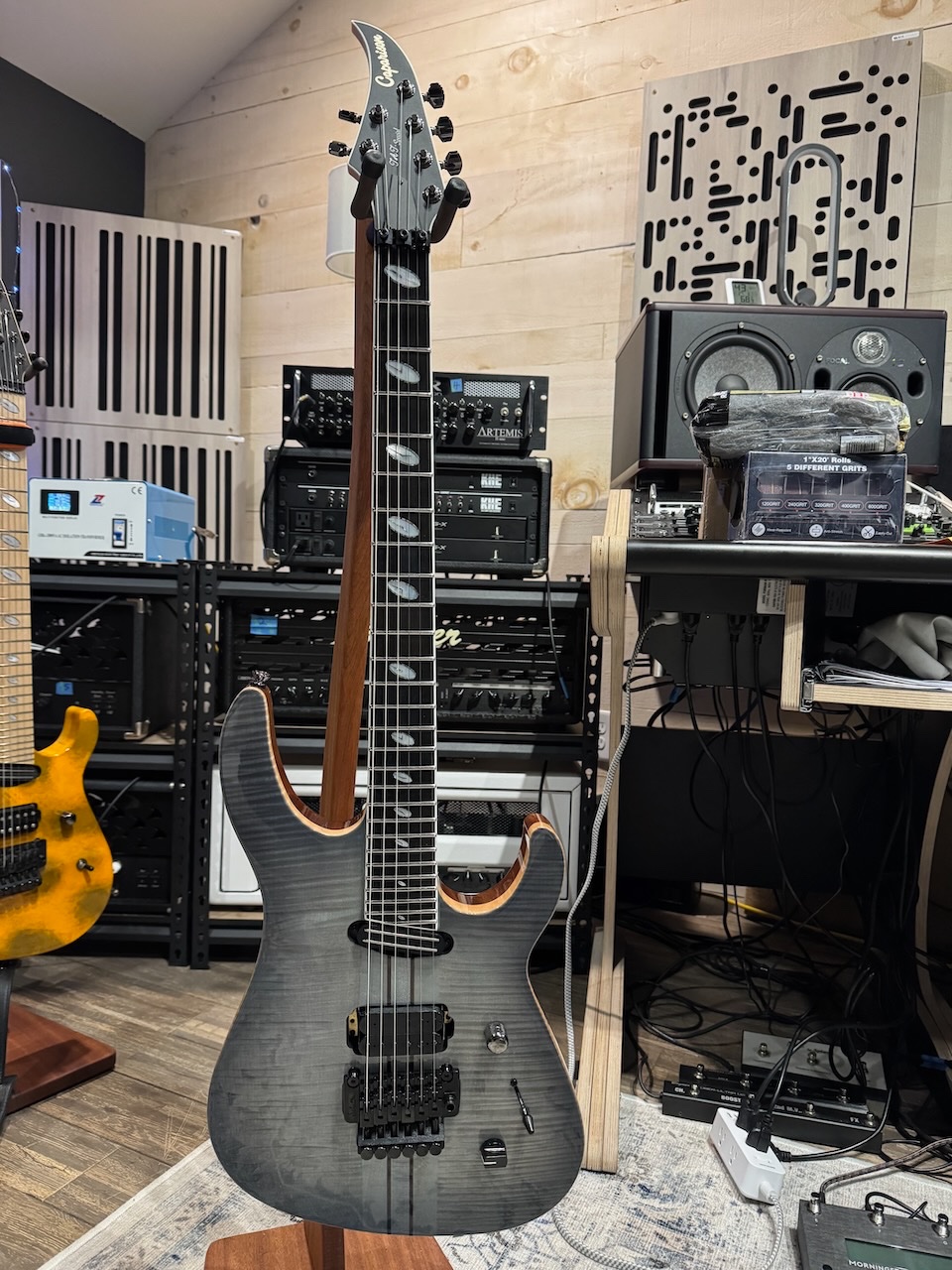 Caparison TAT - 1.jpeg