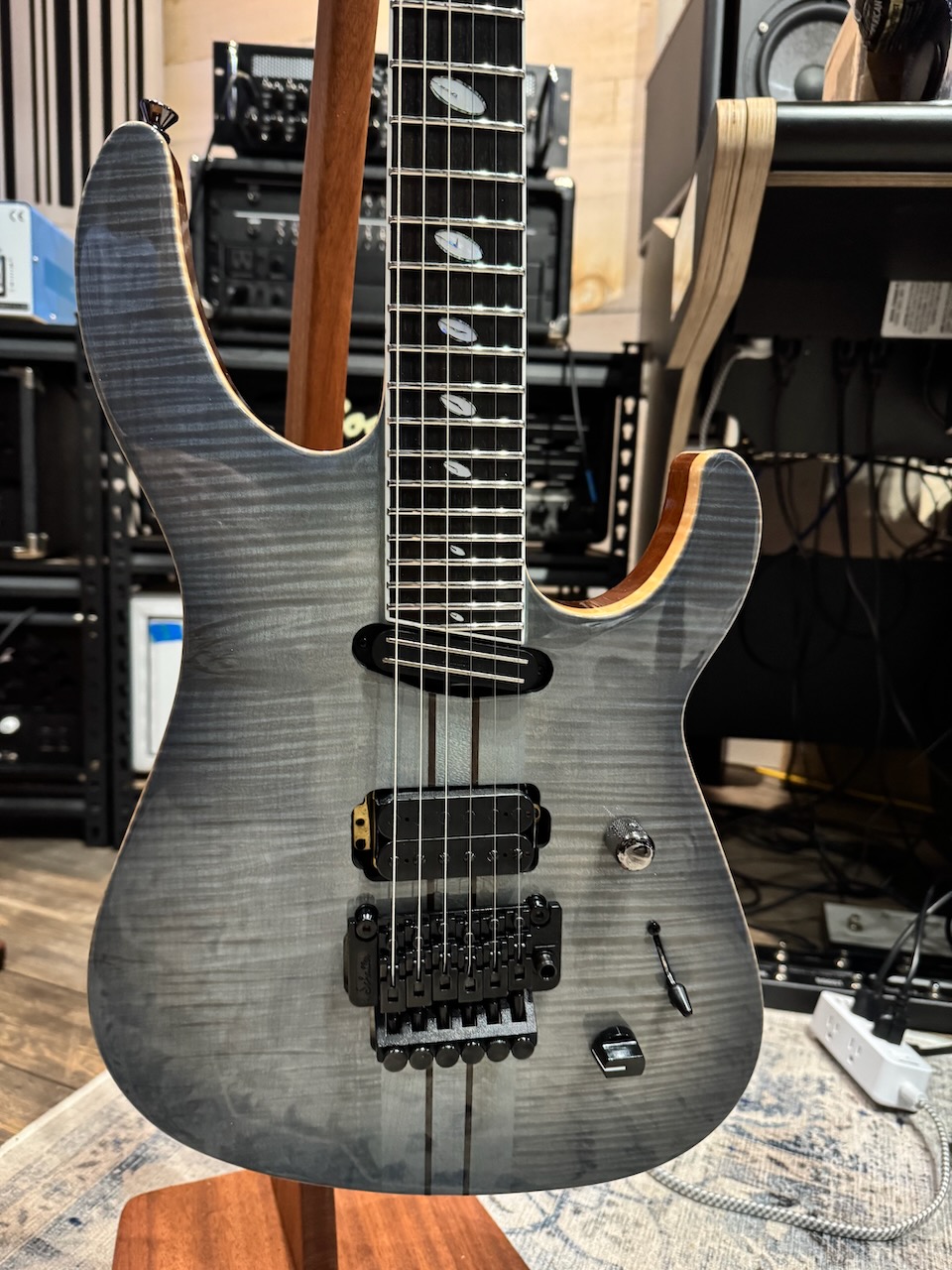 Caparison TAT - 2.jpeg