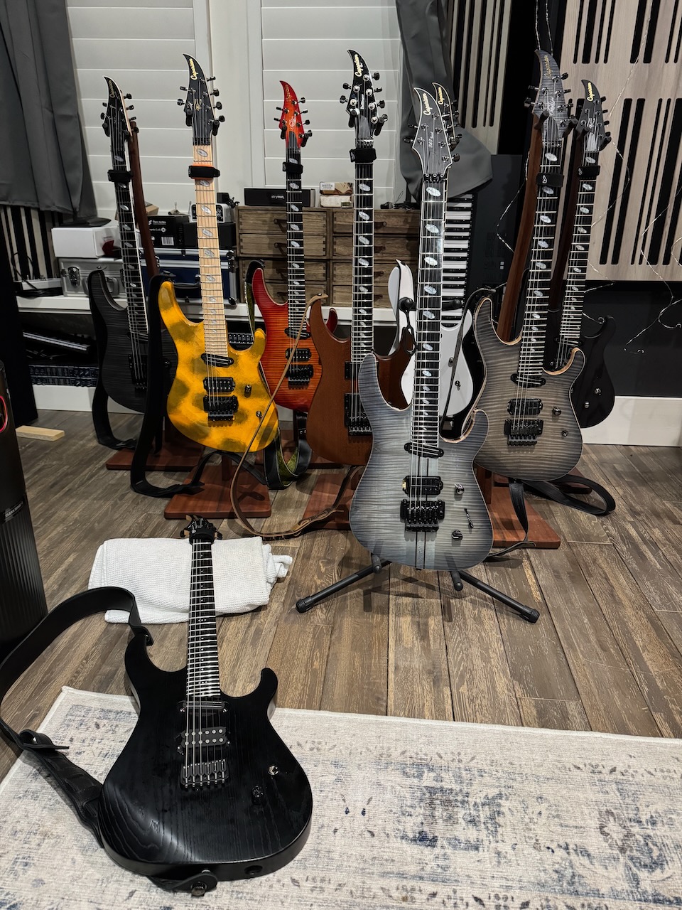 Caparison TAT - 5.jpeg