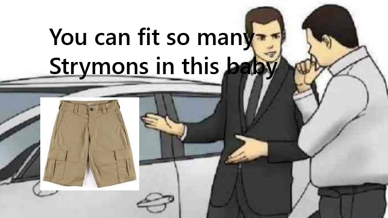 Car-Salesman-Slaps-Roof-Of-Car strymon.jpg