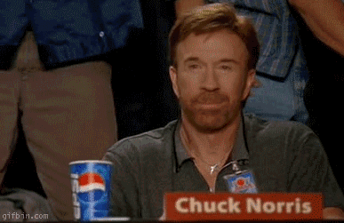 Chuck Norris Approves.gif