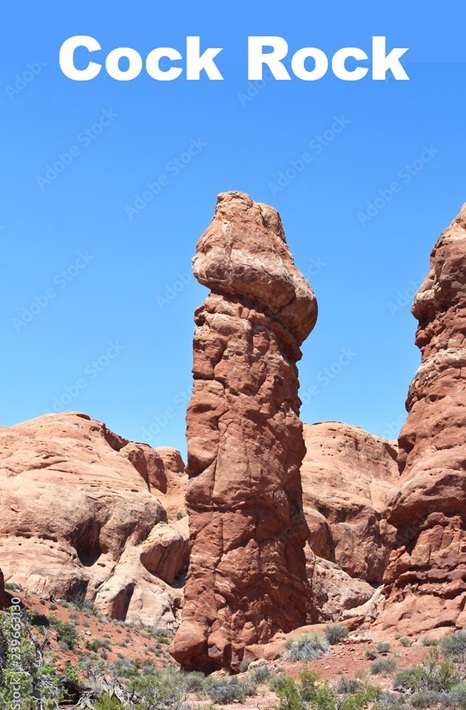 Cock Rock.jpg