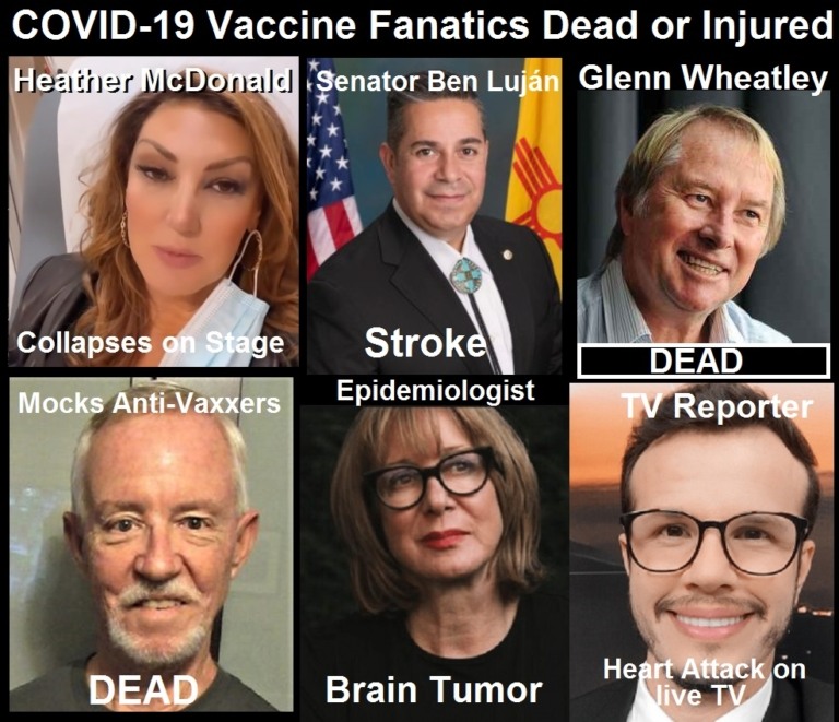 COVID-19-Vaccine-Zealots-Who-Dead-or-Injured-768x661.jpg