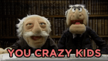 crazy-kids-muppets.gif