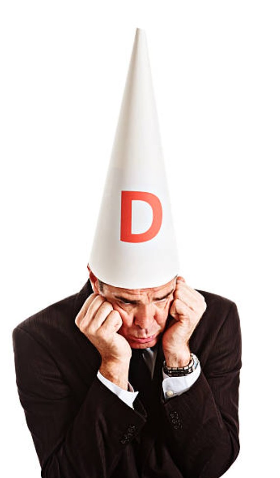 dimocrat.jpg