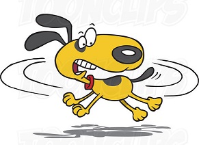 dog.jpg