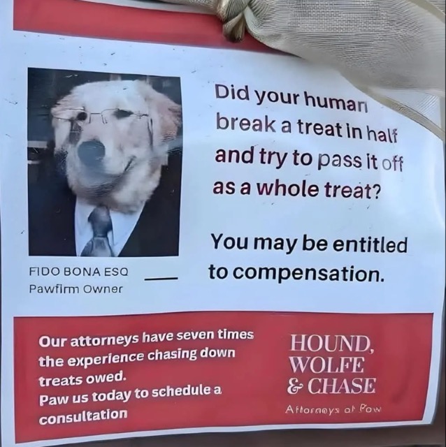 Dog lawyer Medium.jpeg