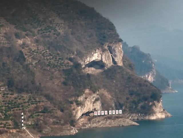 Dog mountain Medium.jpeg