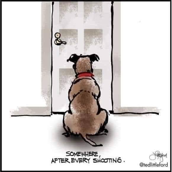 dog somewhere after every shooting 3.jpg