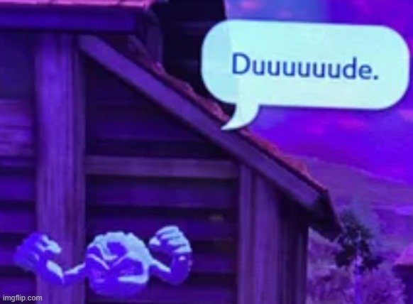 DUUUUDE GIF.jpg