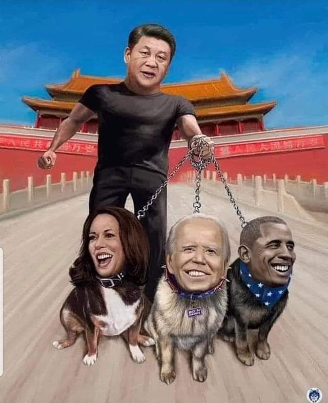 E3E3C90B-A2B8-4CD5-A334-9B6F44289097.jpeg