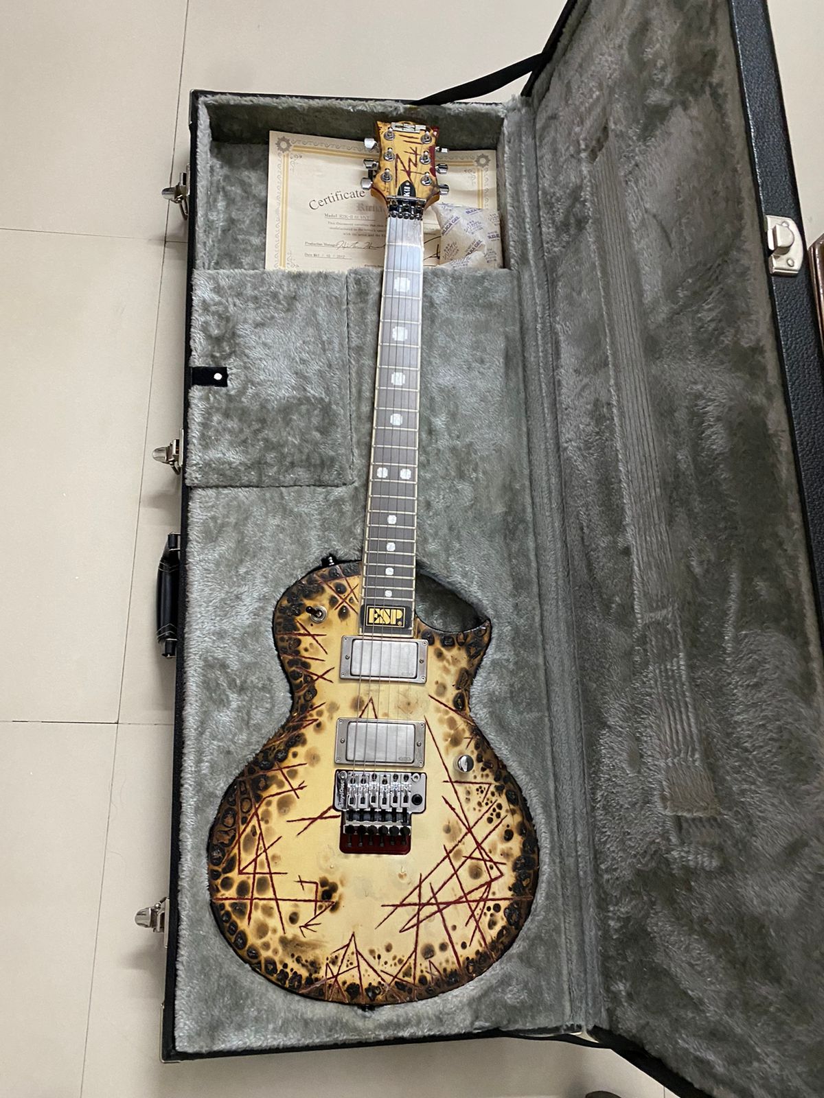 ESP RZK-II.jpeg