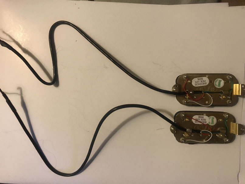 EVH-back2.jpg