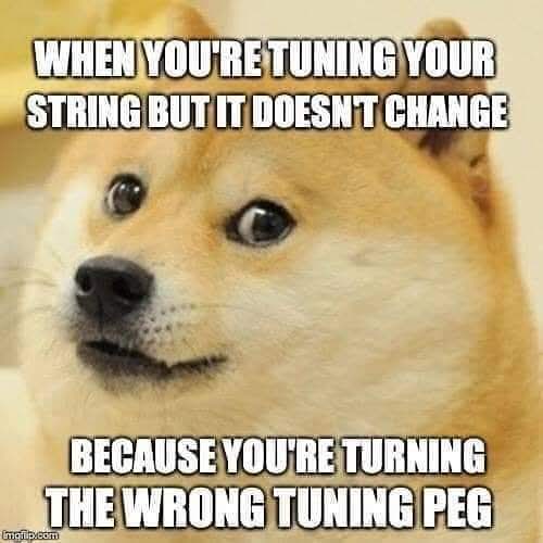 FB_IMG_1789183451812.jpg