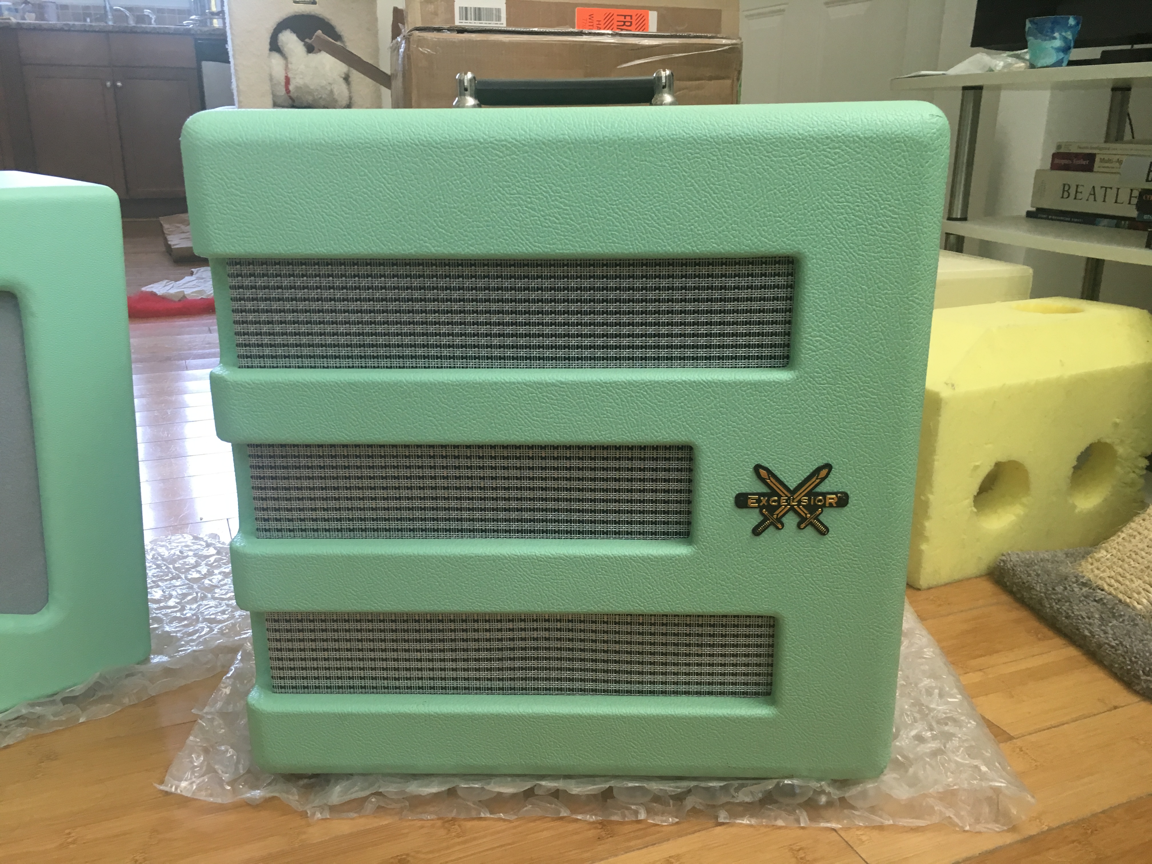 FenderExcelsior.JPG
