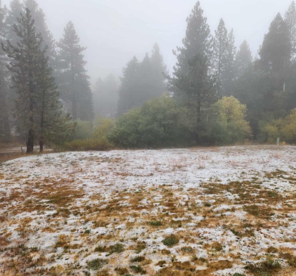 First snow yard 10142025.jpeg