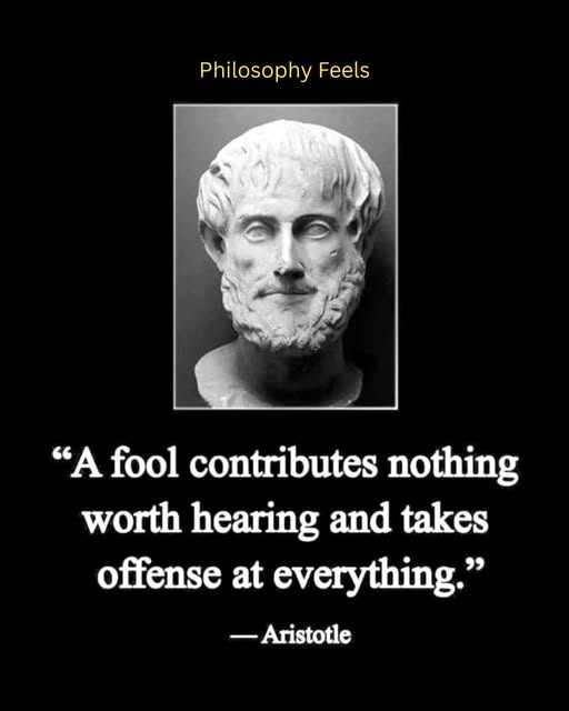 Fool Contributes Nothing.jpg