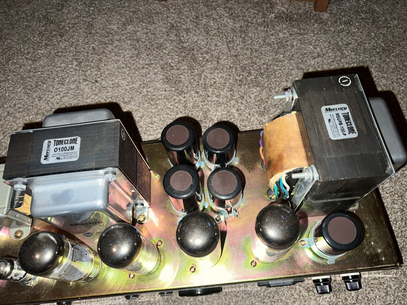 Fusionbear Amp 2.jpeg