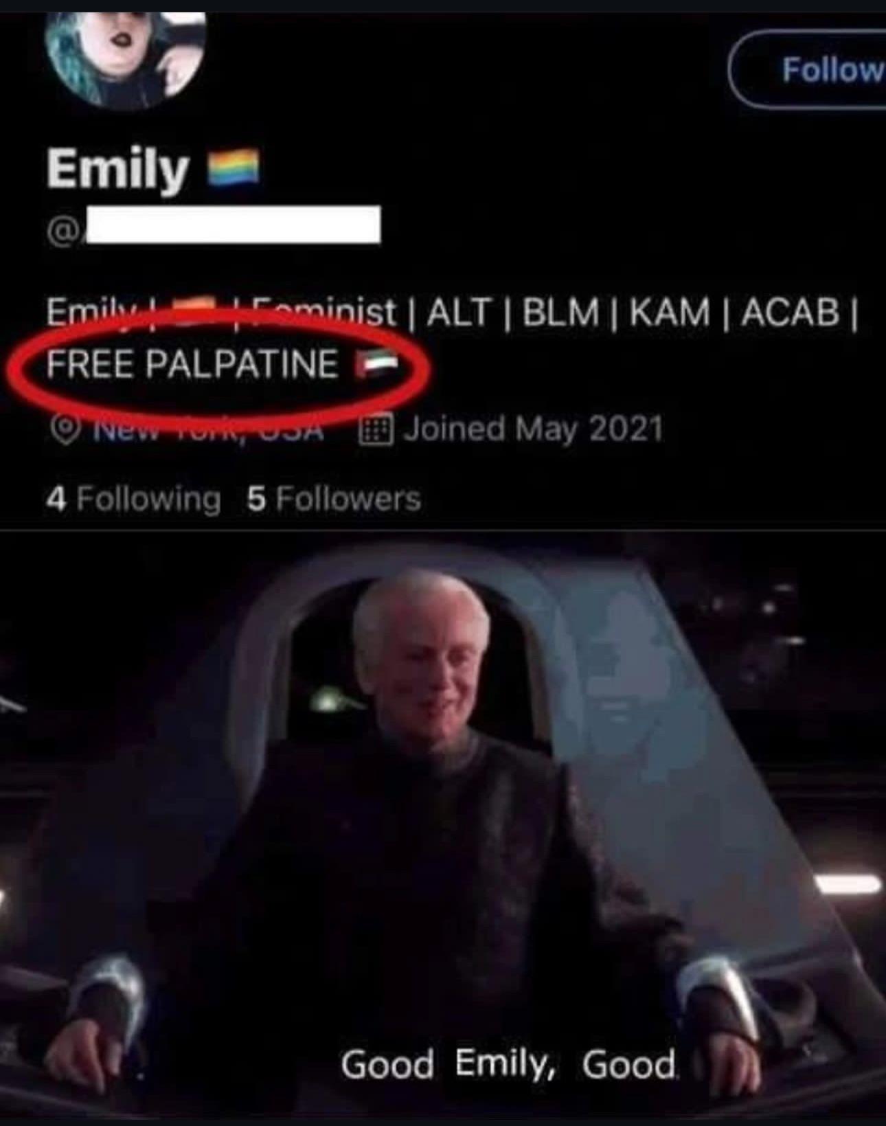 goodemily.jpeg