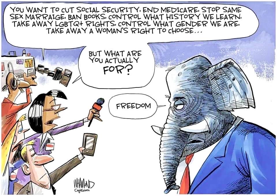 gop freedom what are you for.jpg