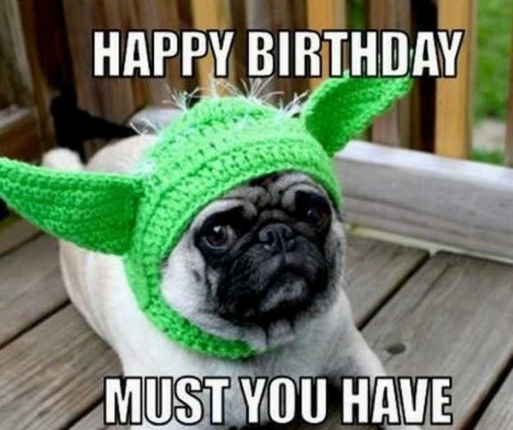 Happy-Birthday-Gif-50-Funny-Birthday-Memes-1794389571.jpeg